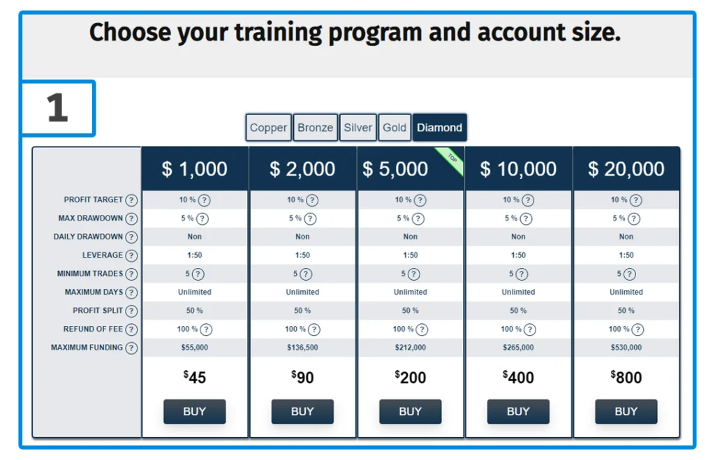 rebelsfunding training program and account size